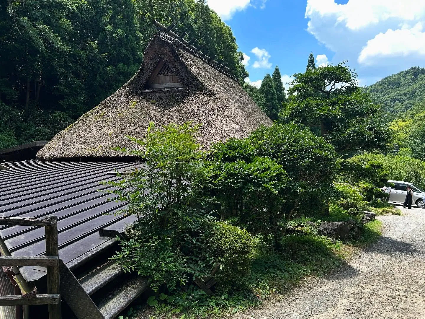 プチ旅行・ボタン鍋