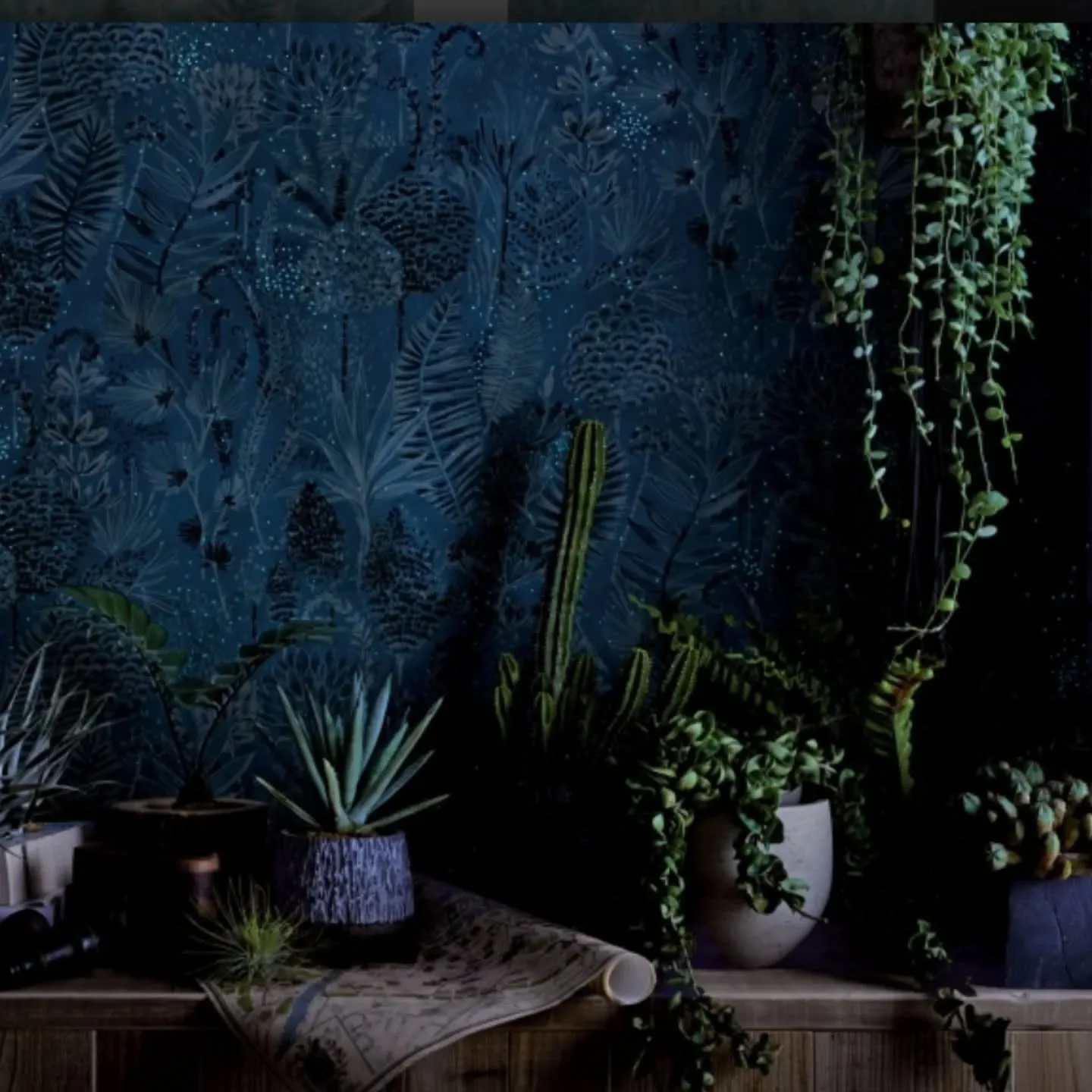 壁紙リフォームでお部屋がグレードアップ🏠✨