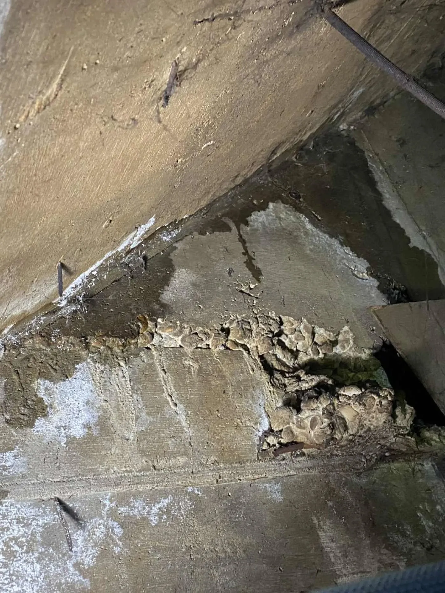 ＲＣ店舗ビルの雨漏りの再現！検査にて解決。