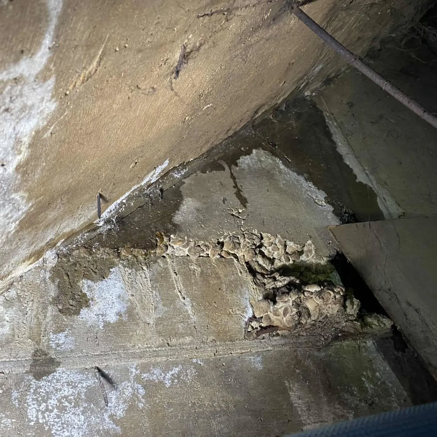 RC店舗ビルの雨漏りを「検査で特定」し、原因を突き止めまし...