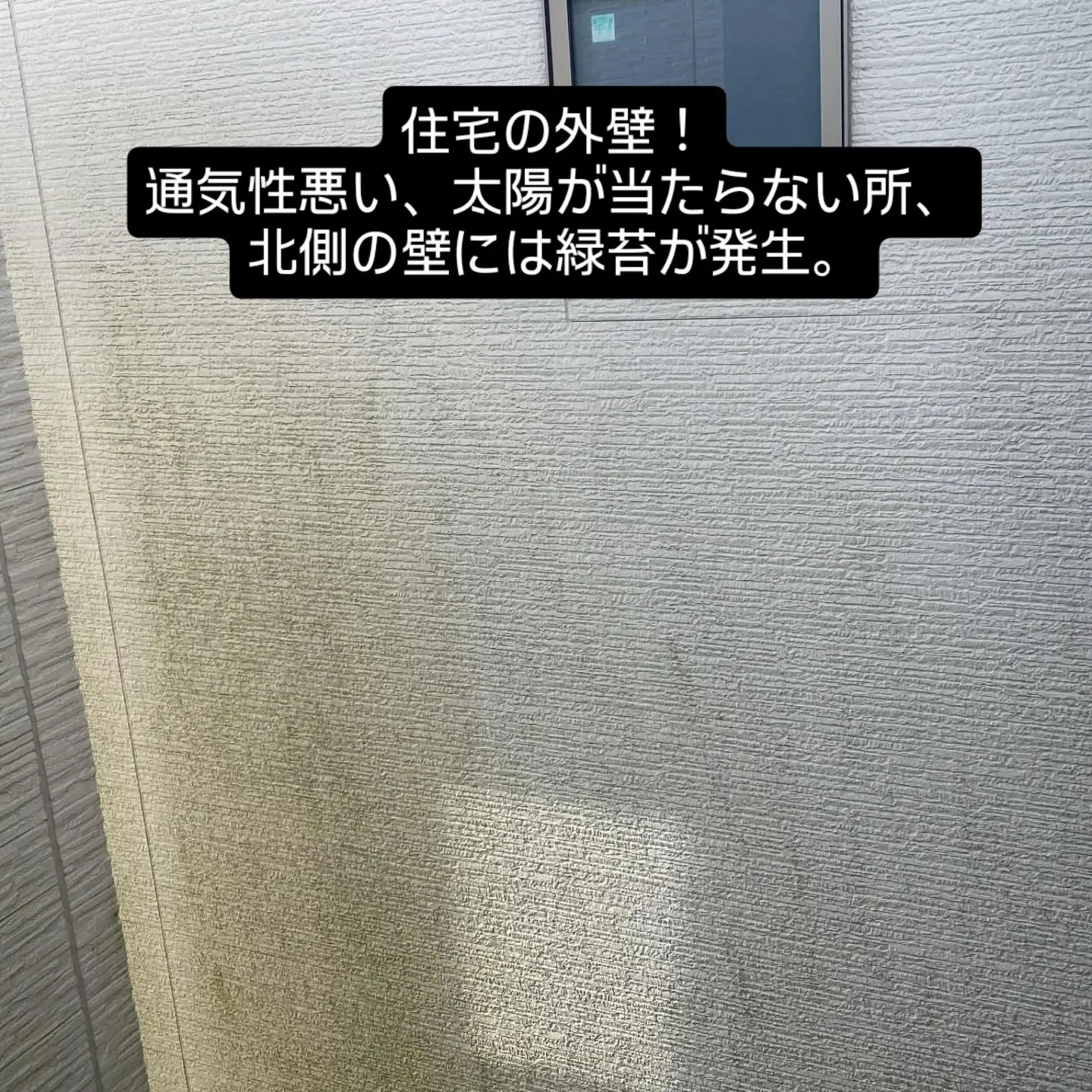 住宅の外壁、特に北側の壁。