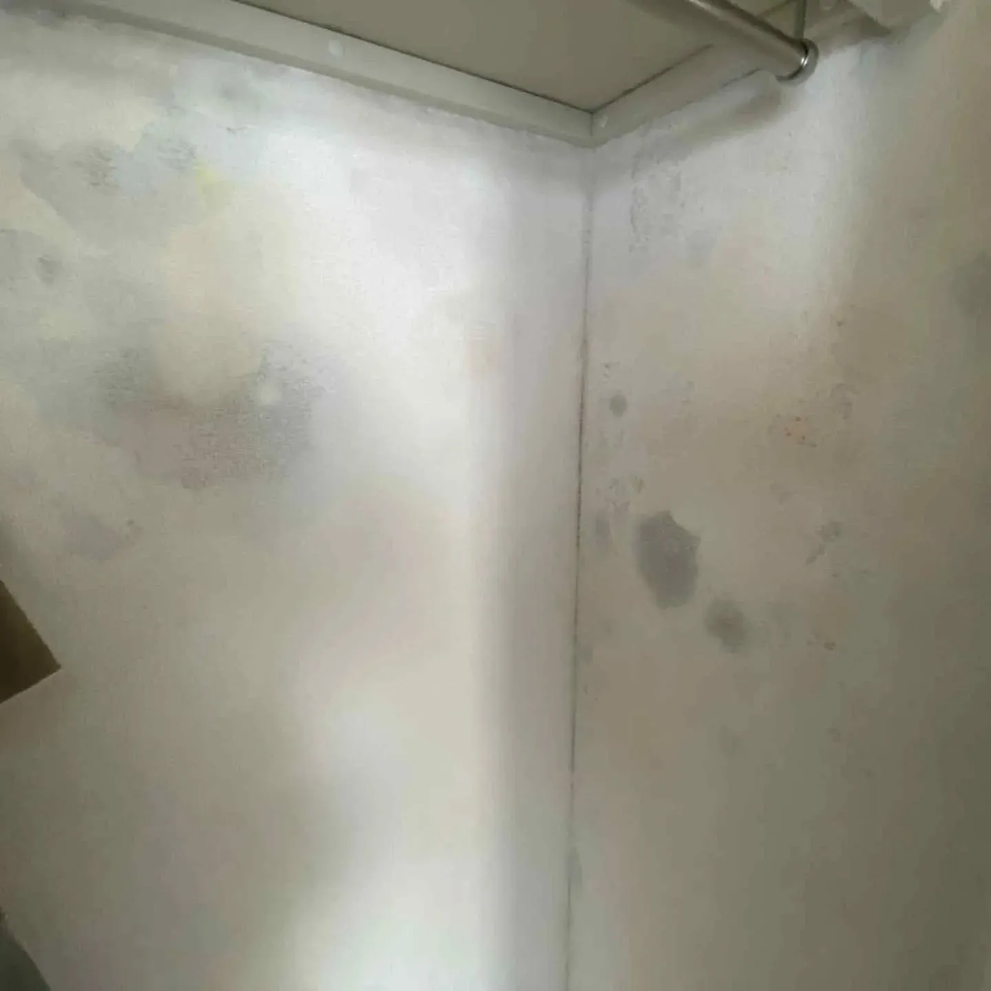 一見すると、寒暖差による内部結露のカビのように見える症状。