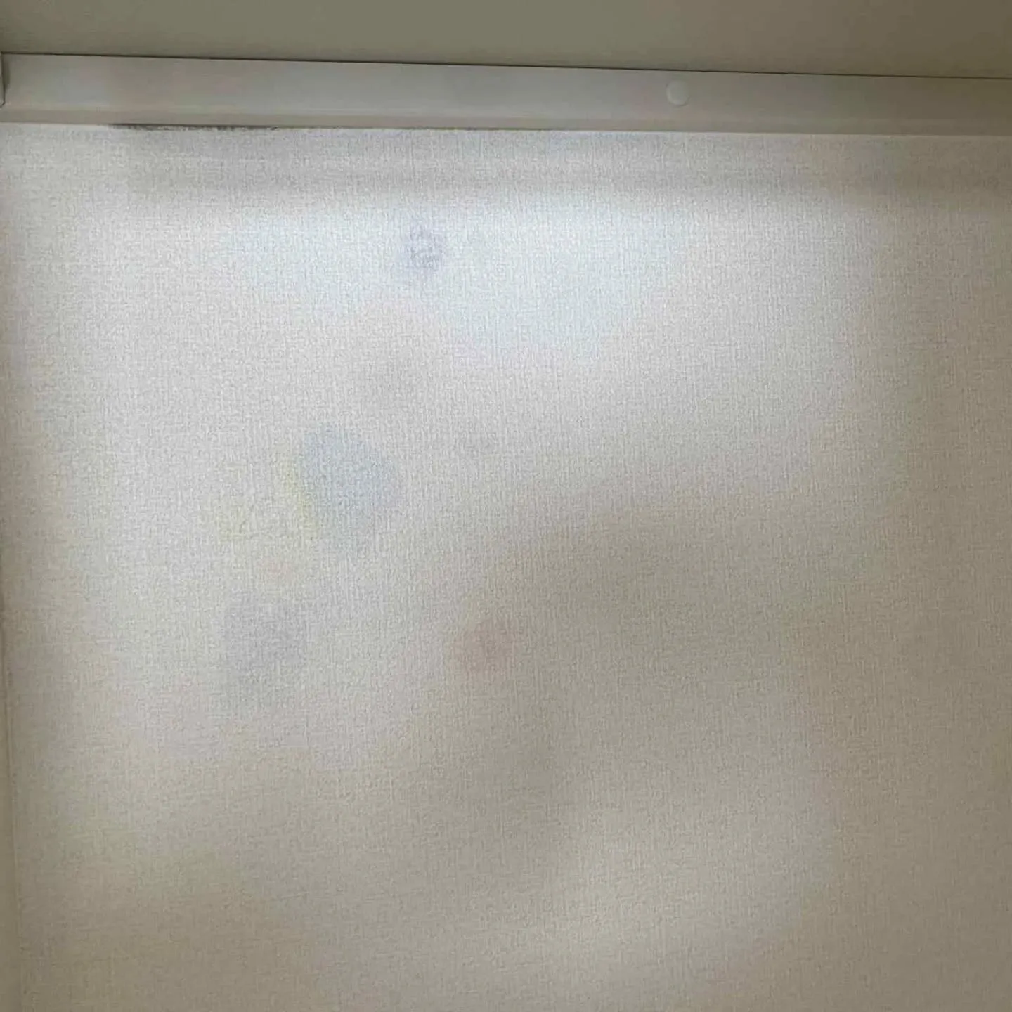 一見すると、寒暖差による内部結露のカビのように見える症状。