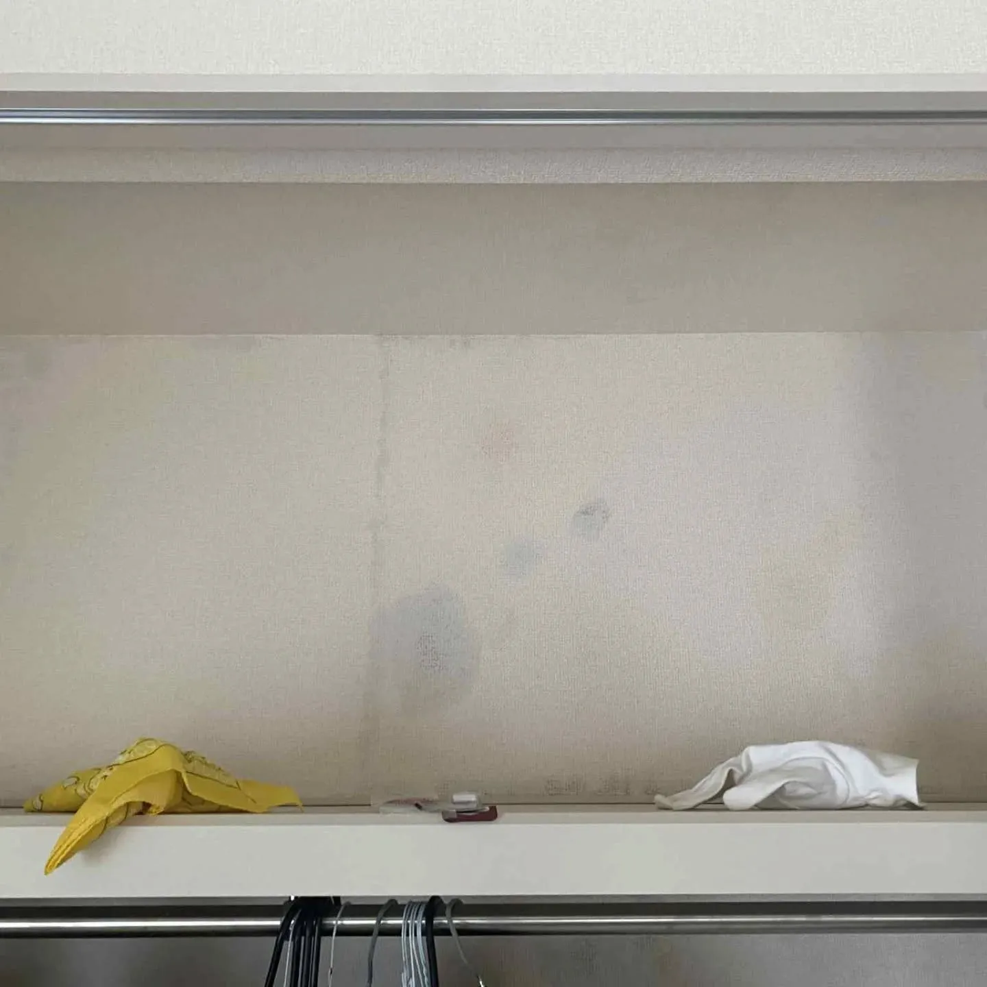 一見すると、寒暖差による内部結露のカビのように見える症状。